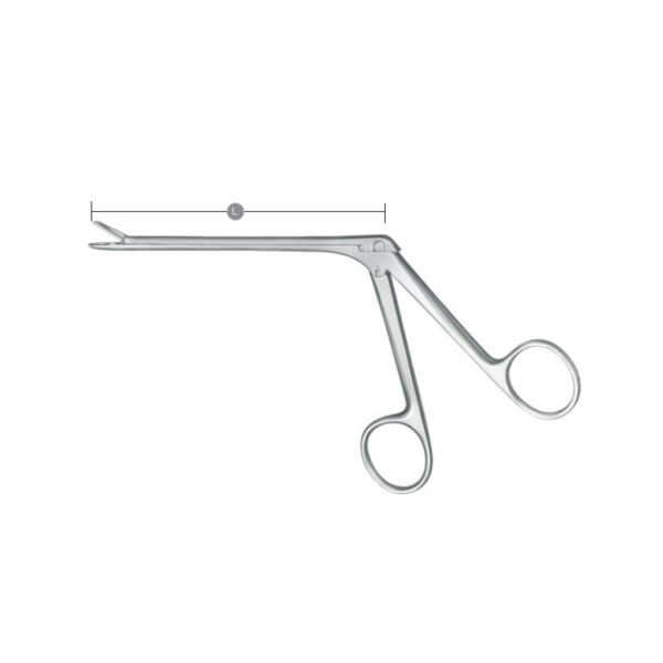 Nasal Cutting Forceps, Ethmoid Bone Forceps