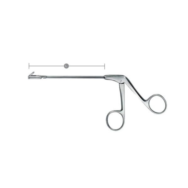 Antrum Punches