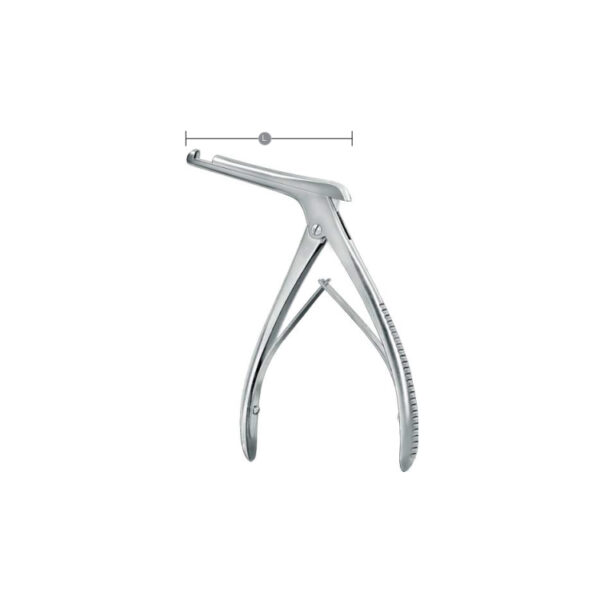 Antrum Punches
