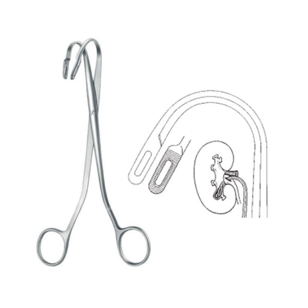 Kidney Stone Forceps