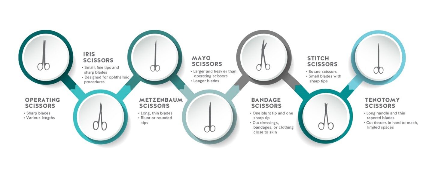 An Infographics on different types of surgical scissors.